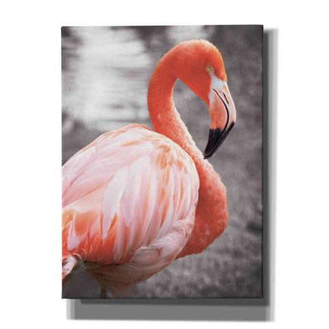 Image of 'Flamingo I on BW' by Debra Van Swearingen, Canvas Wall Art,12x16x1.1x0,20x24x1.1x0,26x30x1.74x0,40x54x1.74x0