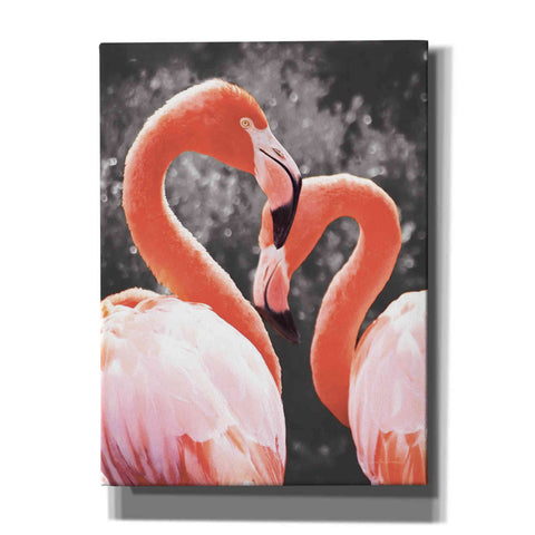 Image of 'Flamingo II on BW' by Debra Van Swearingen, Canvas Wall Art,12x16x1.1x0,20x24x1.1x0,26x30x1.74x0,40x54x1.74x0