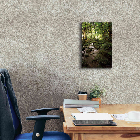 Image of 'Lush Creek in Forest' by Debra Van Swearingen, Canvas Wall Art,12 x 18