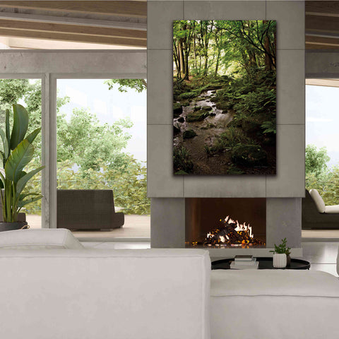 Image of 'Lush Creek in Forest' by Debra Van Swearingen, Canvas Wall Art,40 x 60