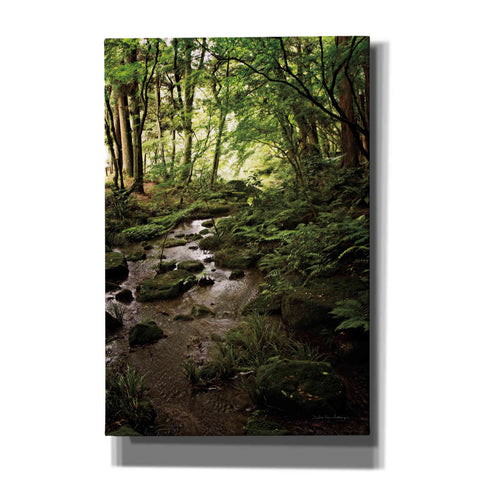 Image of 'Lush Creek in Forest' by Debra Van Swearingen, Canvas Wall Art,12x18x1.1x0,18x26x1.1x0,26x40x1.74x0,40x60x1.74x0