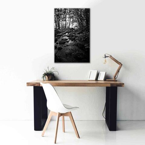 Image of 'Lush Creek in Forest BW' by Debra Van Swearingen, Canvas Wall Art,26 x 40