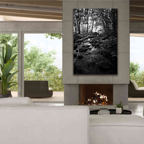 Image of 'Lush Creek in Forest BW' by Debra Van Swearingen, Canvas Wall Art,40 x 60