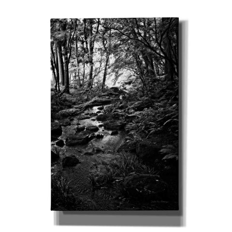Image of 'Lush Creek in Forest BW' by Debra Van Swearingen, Canvas Wall Art,12x18x1.1x0,18x26x1.1x0,26x40x1.74x0,40x60x1.74x0