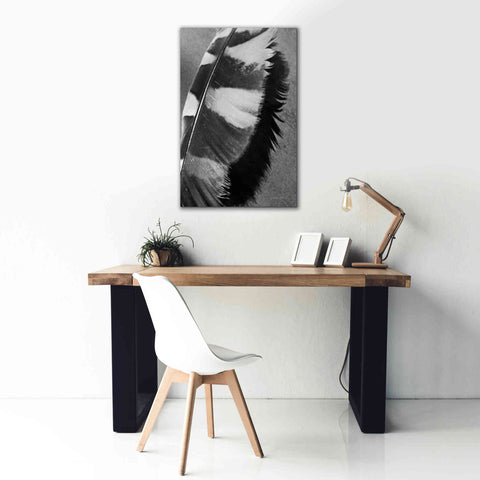 Image of 'Feather Shadow I' by Debra Van Swearingen, Canvas Wall Art,26 x 40