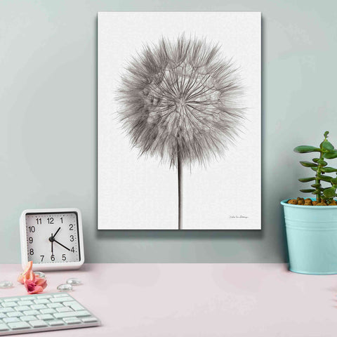 Image of 'Dandelion Fluff on White' by Debra Van Swearingen, Canvas Wall Art,12 x 16