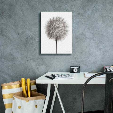 Image of 'Dandelion Fluff on White' by Debra Van Swearingen, Canvas Wall Art,12 x 16