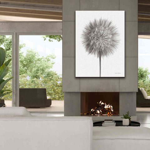 Image of 'Dandelion Fluff on White' by Debra Van Swearingen, Canvas Wall Art,40 x 54