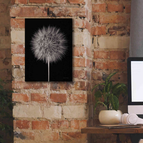 Image of 'Dandelion Fluff on Black' by Debra Van Swearingen, Canvas Wall Art,12 x 16