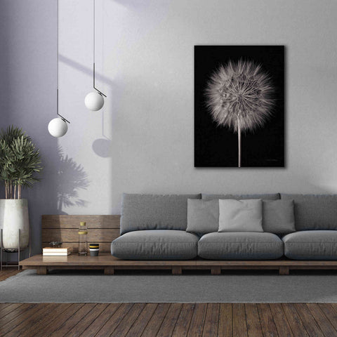 Image of 'Dandelion Fluff on Black' by Debra Van Swearingen, Canvas Wall Art,40 x 54