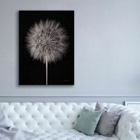 Image of 'Dandelion Fluff on Black' by Debra Van Swearingen, Canvas Wall Art,40 x 54