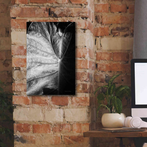 Image of 'Elephant Ear I' by Debra Van Swearingen, Canvas Wall Art,12 x 18