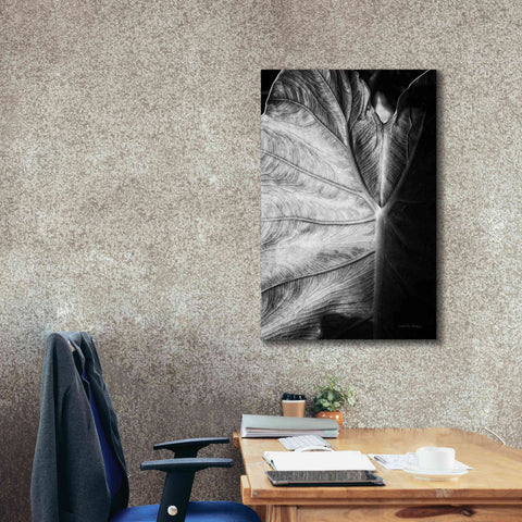 Image of 'Elephant Ear I' by Debra Van Swearingen, Canvas Wall Art,26 x 40