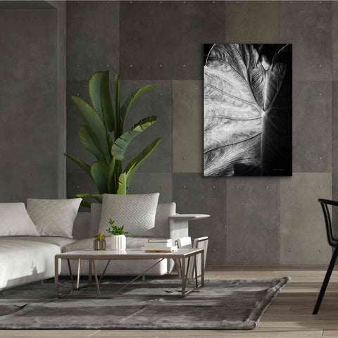Image of 'Elephant Ear I' by Debra Van Swearingen, Canvas Wall Art,40 x 60