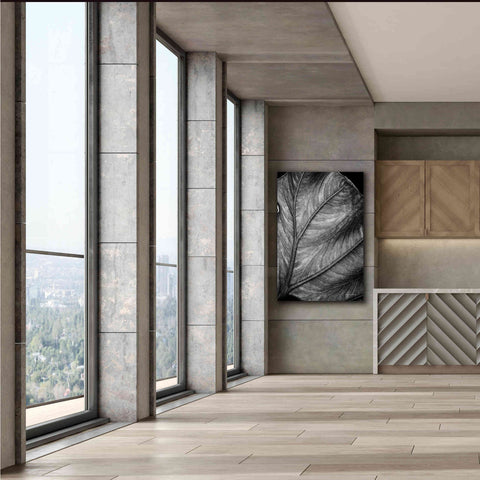 Image of 'Elephant Ear II' by Debra Van Swearingen, Canvas Wall Art,40 x 60