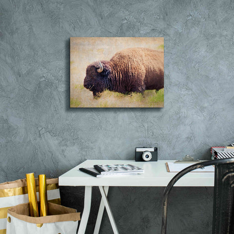 Image of 'Buffalo II' by Debra Van Swearingen, Canvas Wall Art,16 x 12