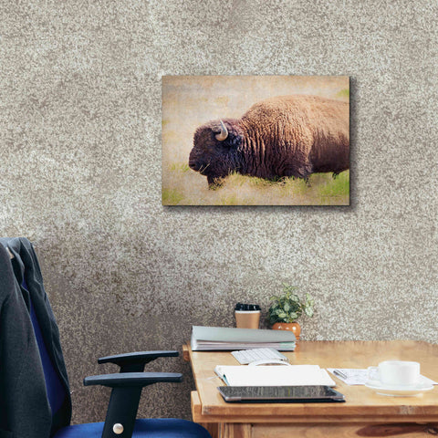 Image of 'Buffalo II' by Debra Van Swearingen, Canvas Wall Art,24 x 20