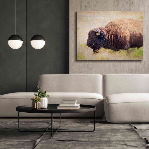 Image of 'Buffalo II' by Debra Van Swearingen, Canvas Wall Art,54 x 40