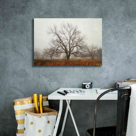 Image of 'Morning Calm I' by Debra Van Swearingen, Canvas Wall Art,26 x 18