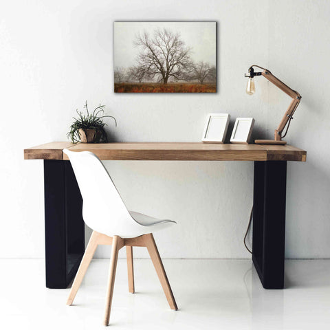 Image of 'Morning Calm I' by Debra Van Swearingen, Canvas Wall Art,26 x 18