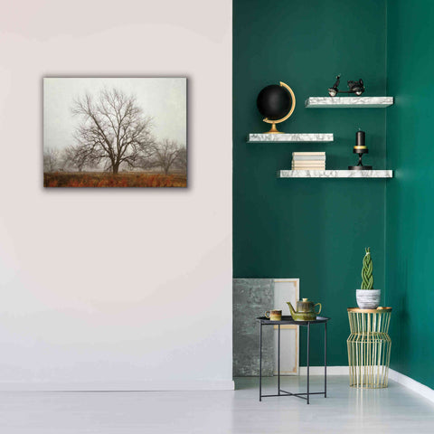 Image of 'Morning Calm I' by Debra Van Swearingen, Canvas Wall Art,34 x 26