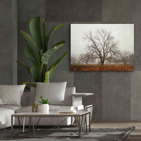 Image of 'Morning Calm I' by Debra Van Swearingen, Canvas Wall Art,54 x 40