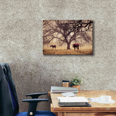Image of 'Morning Calm II' by Debra Van Swearingen, Canvas Wall Art,26 x 18