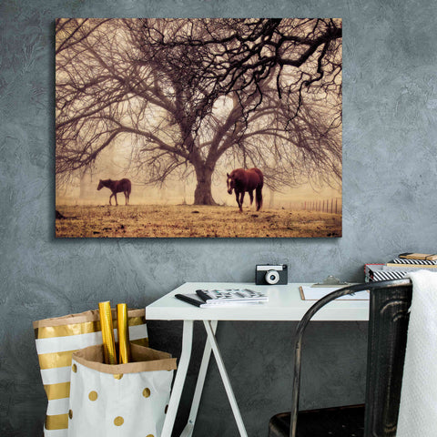 Image of 'Morning Calm II' by Debra Van Swearingen, Canvas Wall Art,34 x 26