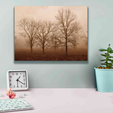 Image of 'Morning Calm III' by Debra Van Swearingen, Canvas Wall Art,16 x 12