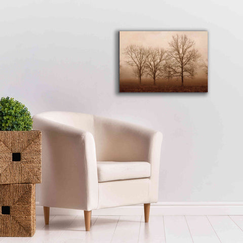 Image of 'Morning Calm III' by Debra Van Swearingen, Canvas Wall Art,26 x 18