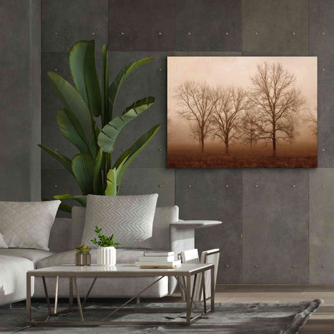 Image of 'Morning Calm III' by Debra Van Swearingen, Canvas Wall Art,54 x 40