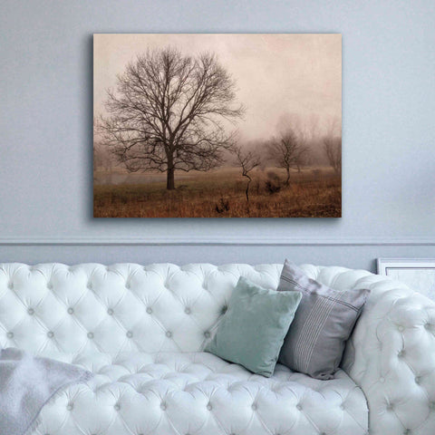 Image of 'Morning Calm IV' by Debra Van Swearingen, Canvas Wall Art,54 x 40
