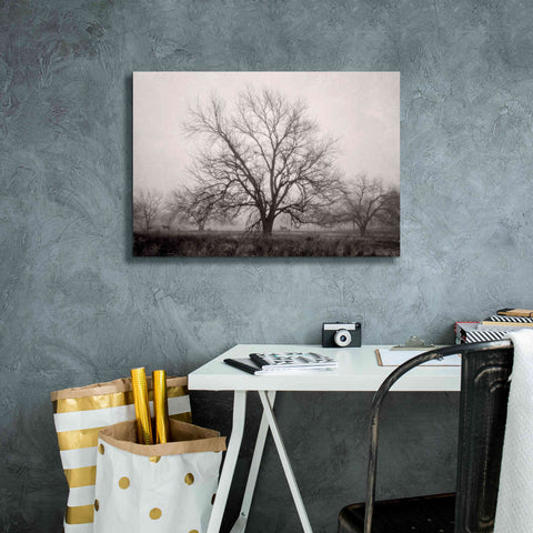 Image of 'Morning Calm I BW' by Debra Van Swearingen, Canvas Wall Art,26 x 18