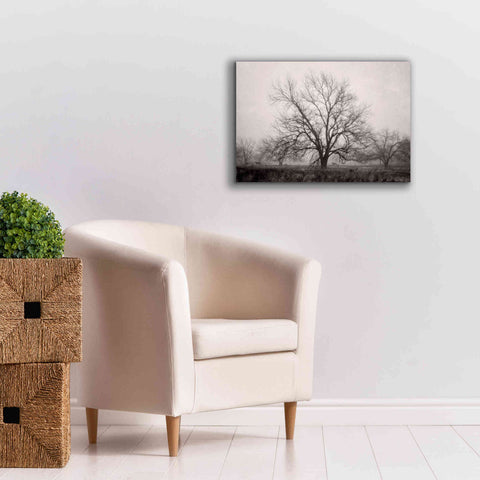 Image of 'Morning Calm I BW' by Debra Van Swearingen, Canvas Wall Art,26 x 18