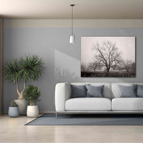 Image of 'Morning Calm I BW' by Debra Van Swearingen, Canvas Wall Art,54 x 40