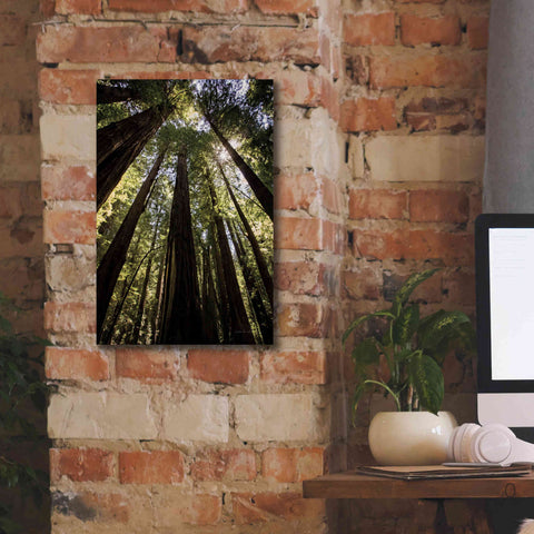 Image of 'The Stand' by Debra Van Swearingen, Canvas Wall Art,12 x 18