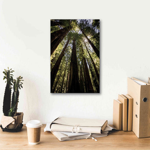 Image of 'The Stand' by Debra Van Swearingen, Canvas Wall Art,12 x 18