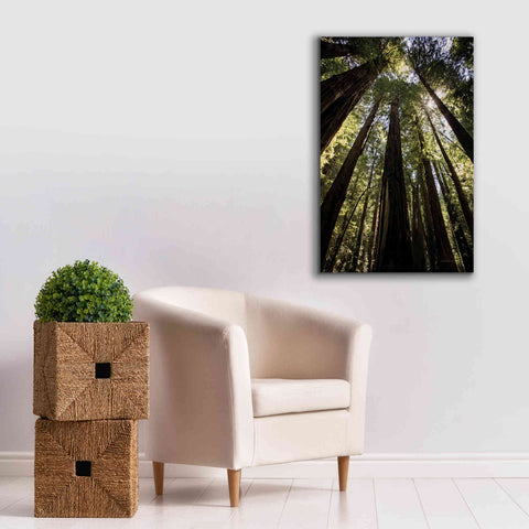 Image of 'The Stand' by Debra Van Swearingen, Canvas Wall Art,26 x 40