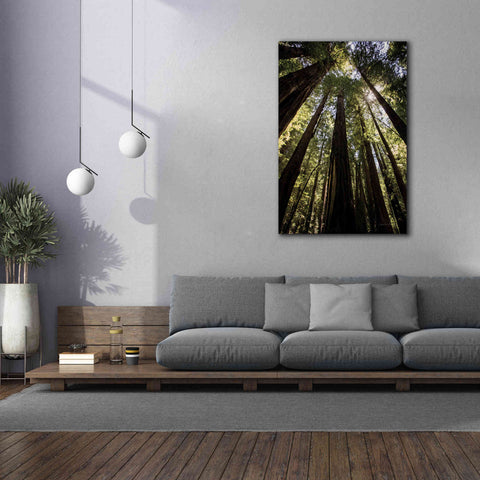 Image of 'The Stand' by Debra Van Swearingen, Canvas Wall Art,40 x 60