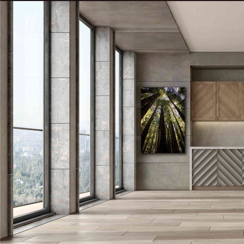 Image of 'The Stand' by Debra Van Swearingen, Canvas Wall Art,40 x 60