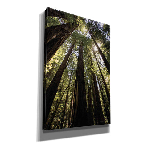 Image of 'The Stand' by Debra Van Swearingen, Canvas Wall Art,12x18x1.1x0,18x26x1.1x0,26x40x1.74x0,40x60x1.74x0