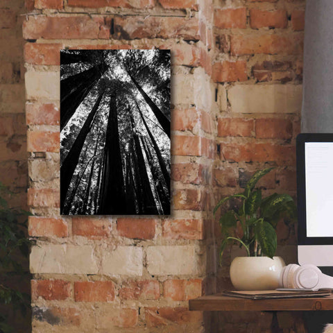 Image of 'The Stand BW' by Debra Van Swearingen, Canvas Wall Art,12 x 18