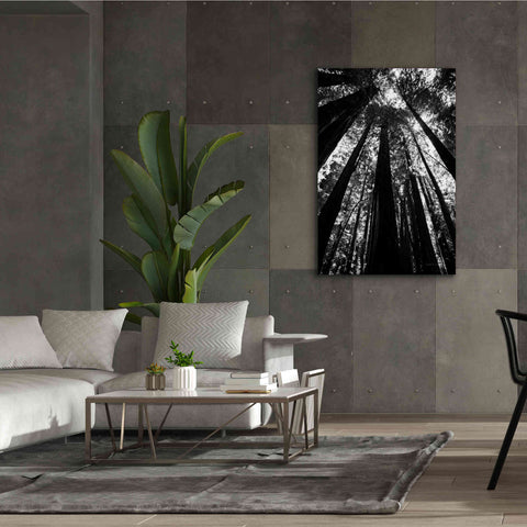 Image of 'The Stand BW' by Debra Van Swearingen, Canvas Wall Art,40 x 60