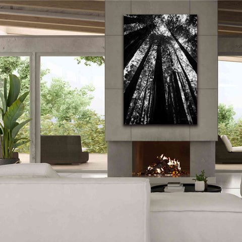 Image of 'The Stand BW' by Debra Van Swearingen, Canvas Wall Art,40 x 60