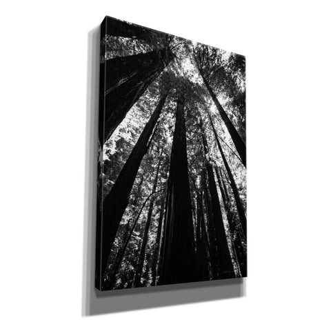 Image of 'The Stand BW' by Debra Van Swearingen, Canvas Wall Art,12x18x1.1x0,18x26x1.1x0,26x40x1.74x0,40x60x1.74x0