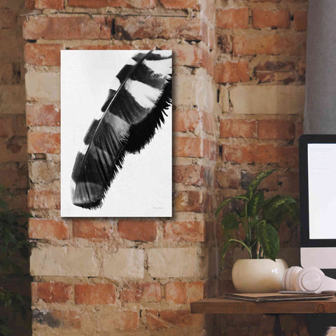 Image of 'Feather Shadow II White' by Debra Van Swearingen, Canvas Wall Art,12 x 18