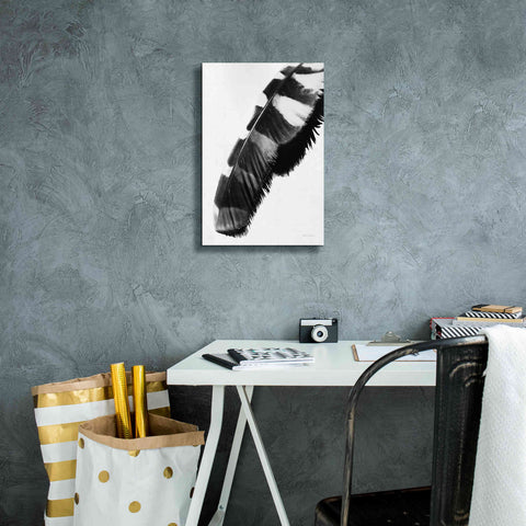 Image of 'Feather Shadow II White' by Debra Van Swearingen, Canvas Wall Art,12 x 18