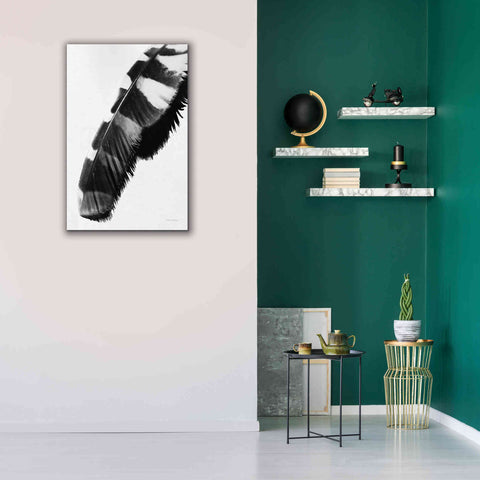Image of 'Feather Shadow II White' by Debra Van Swearingen, Canvas Wall Art,26 x 40