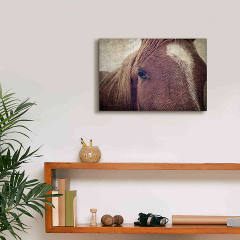 Image of 'Dew Lashes' by Debra Van Swearingen, Canvas Wall Art,18 x 12
