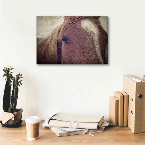 Image of 'Dew Lashes' by Debra Van Swearingen, Canvas Wall Art,18 x 12